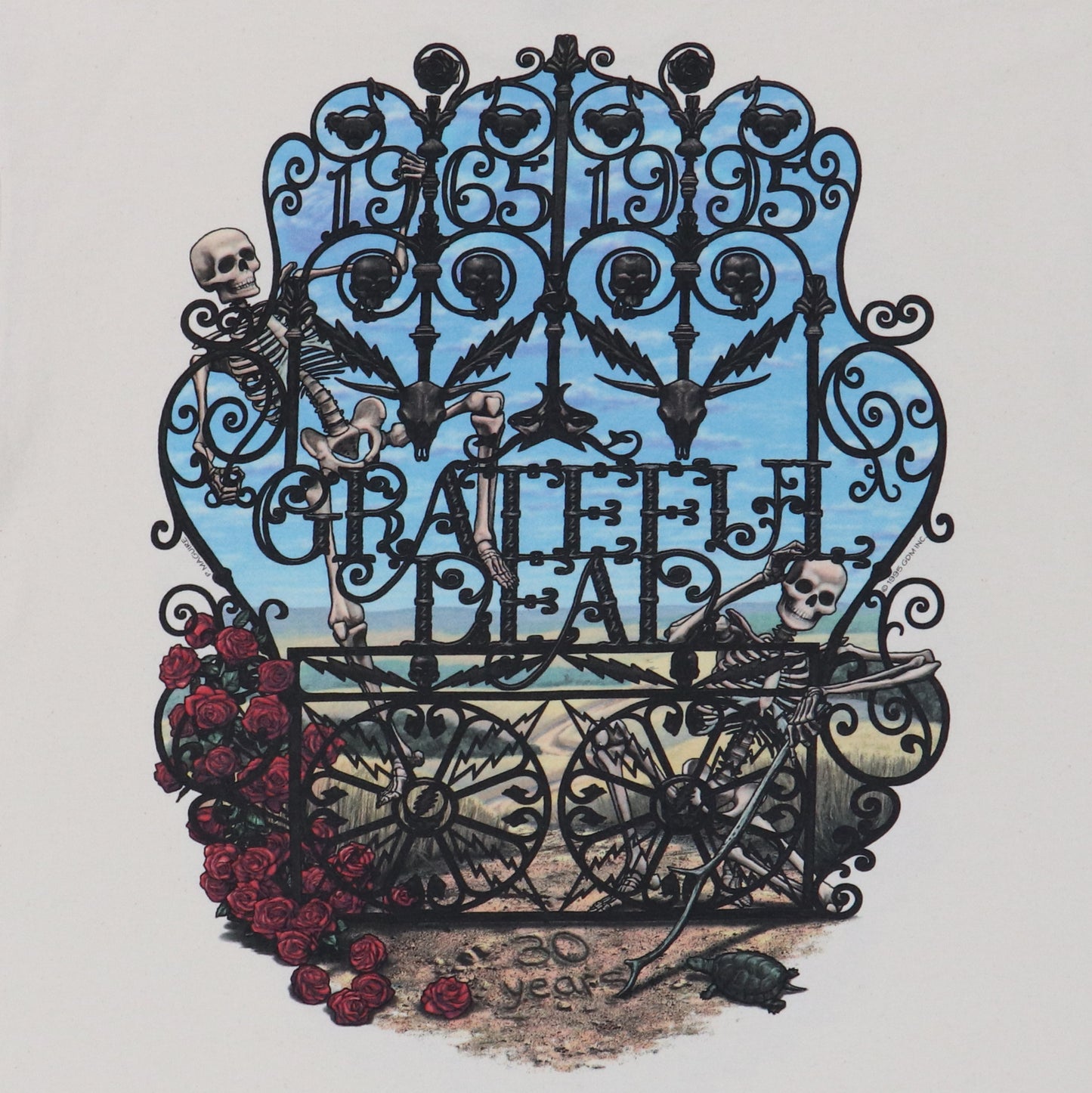 1995 Grateful Dead Bertha 30 Years Shirt