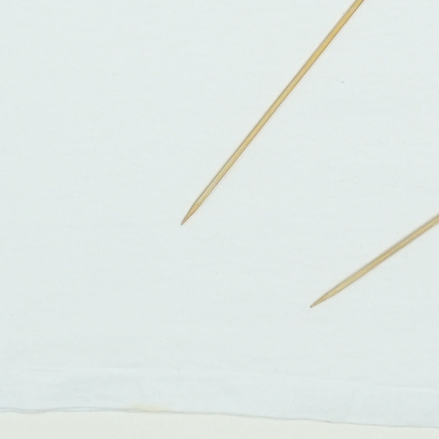 1993 Vince Gill Tour Shirt