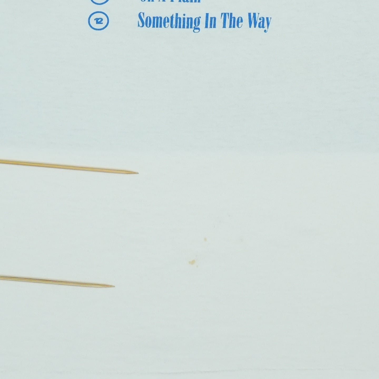 1990s Nirvana Nevermind Shirt