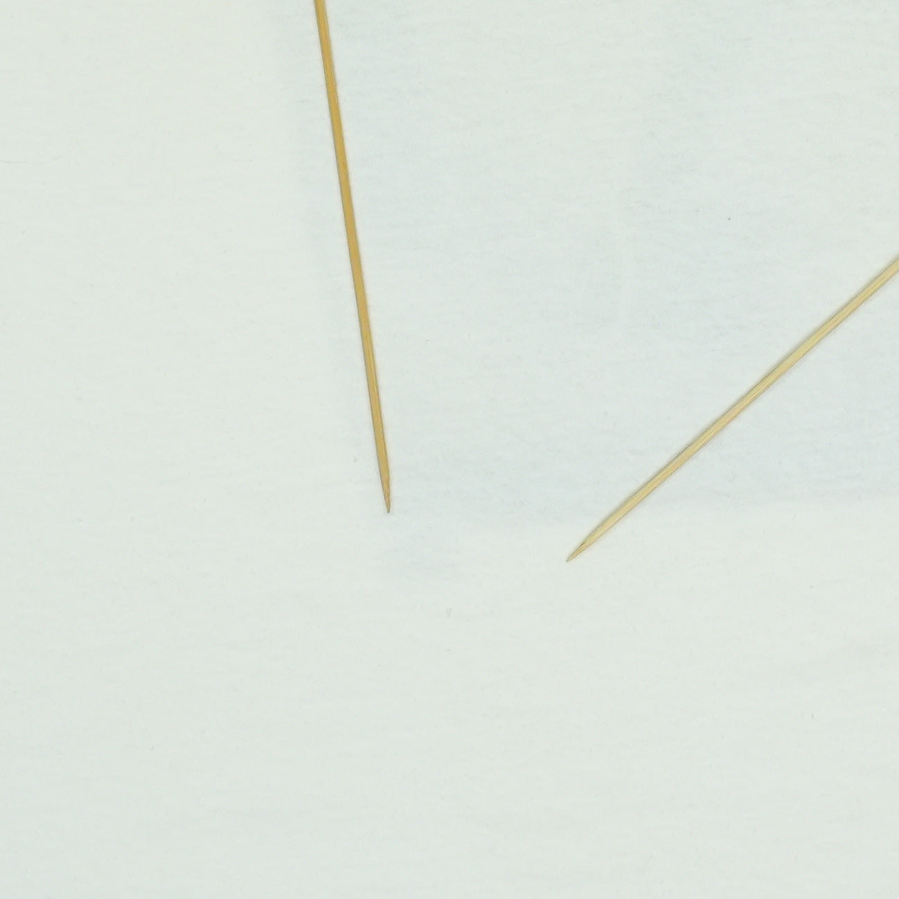 1991 Sting Tour Shirt