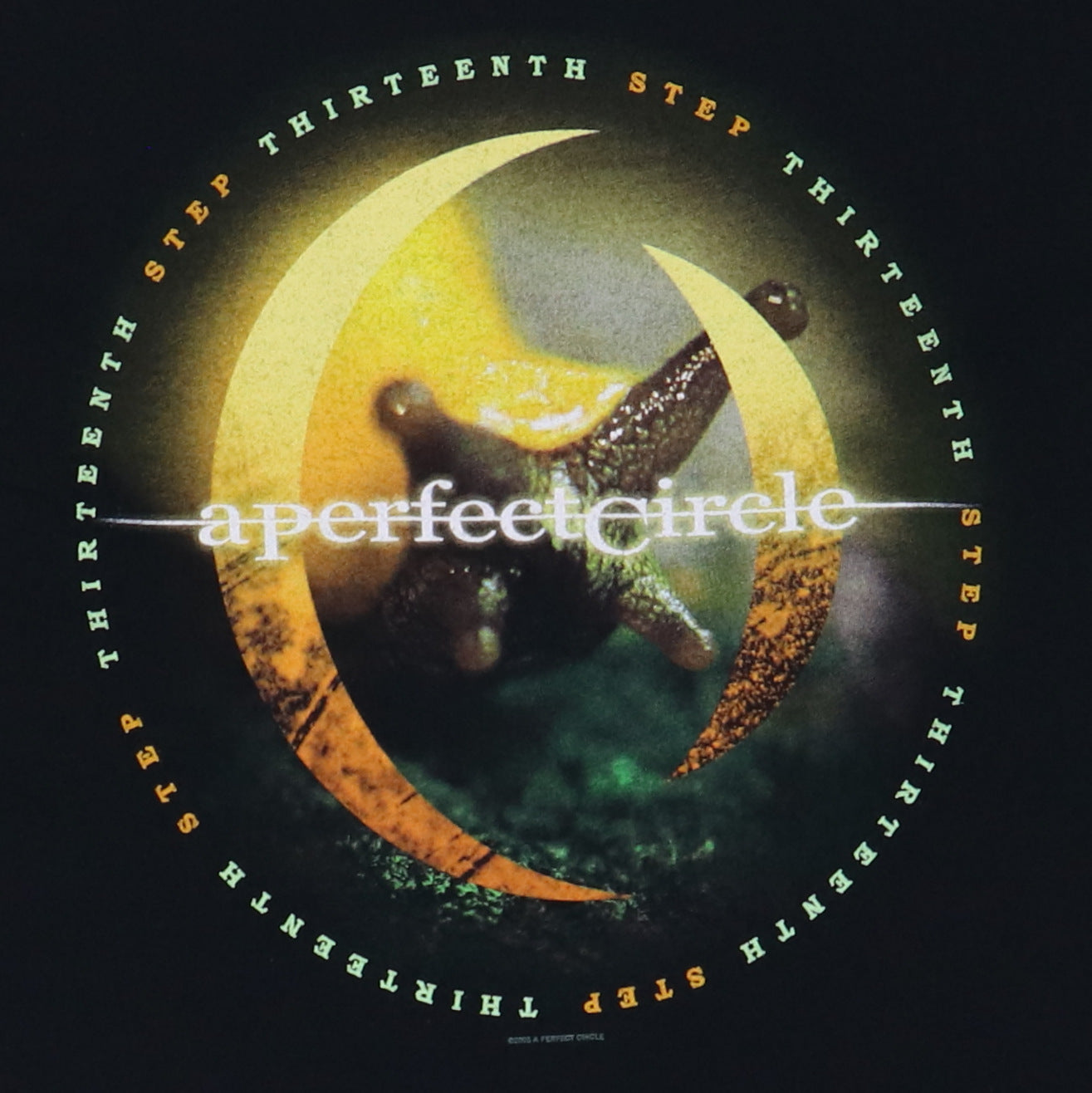 2003 A Perfect Circle Tour Shirt