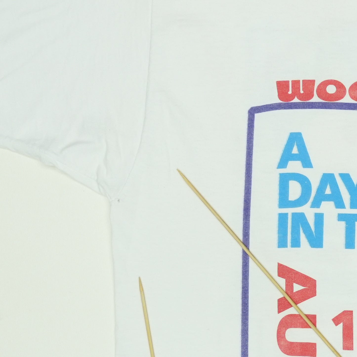 1998 Woodstock Day In The Garden Shirt