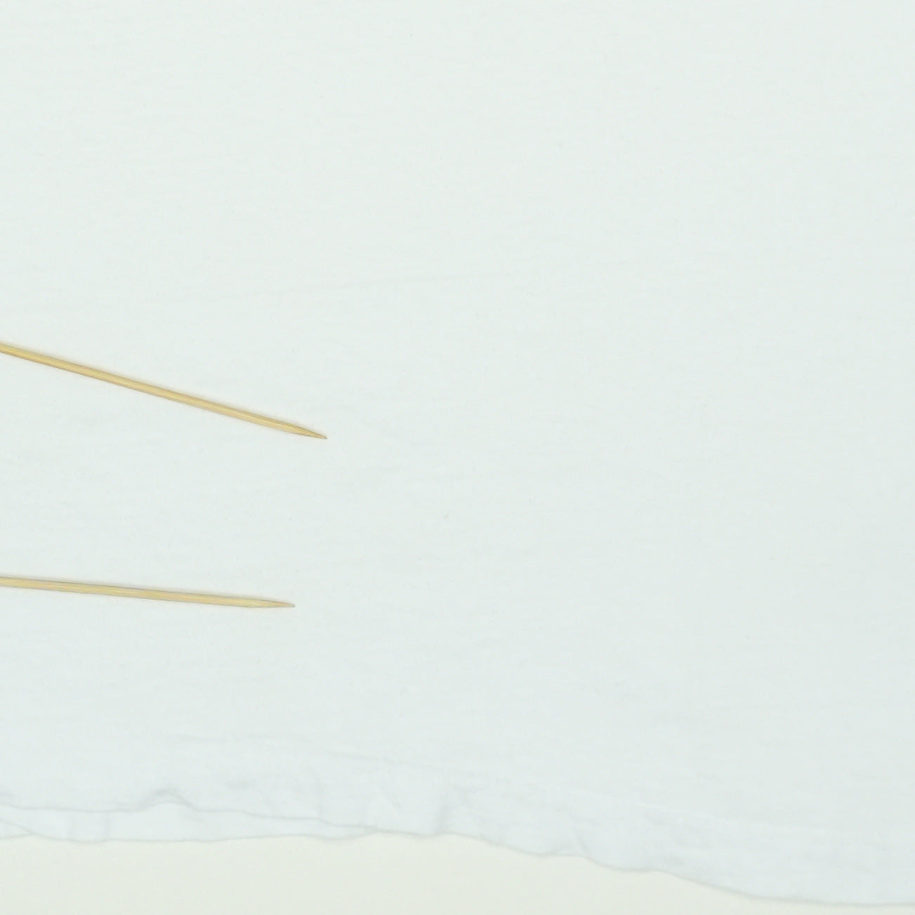 1988 Bob Dylan Shirt