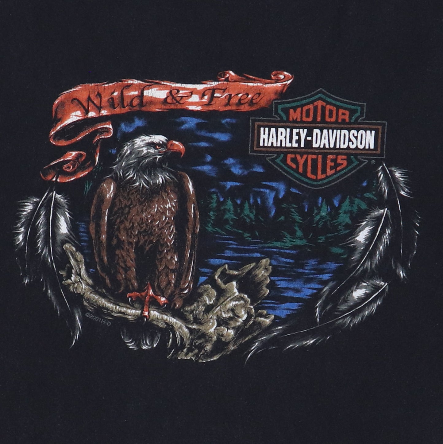1990s Harley Davidson Wild & Free Shirt Detail