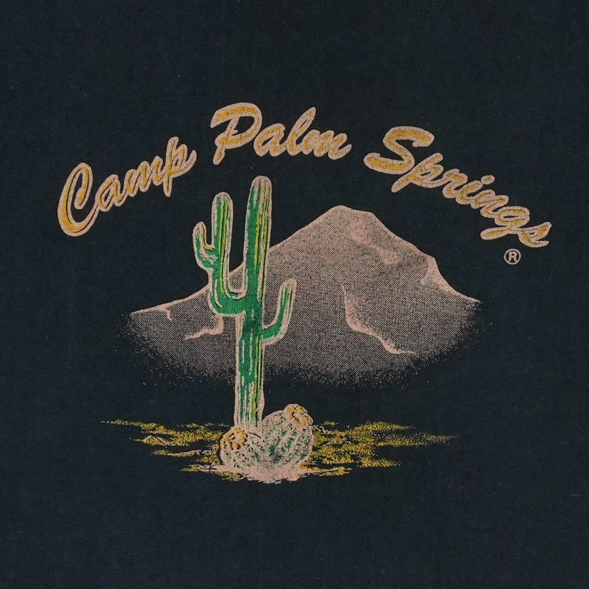 1970s Camp Palm Springs Shirt
