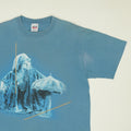 1998 Stevie Nicks Enchanted Tour Shirt