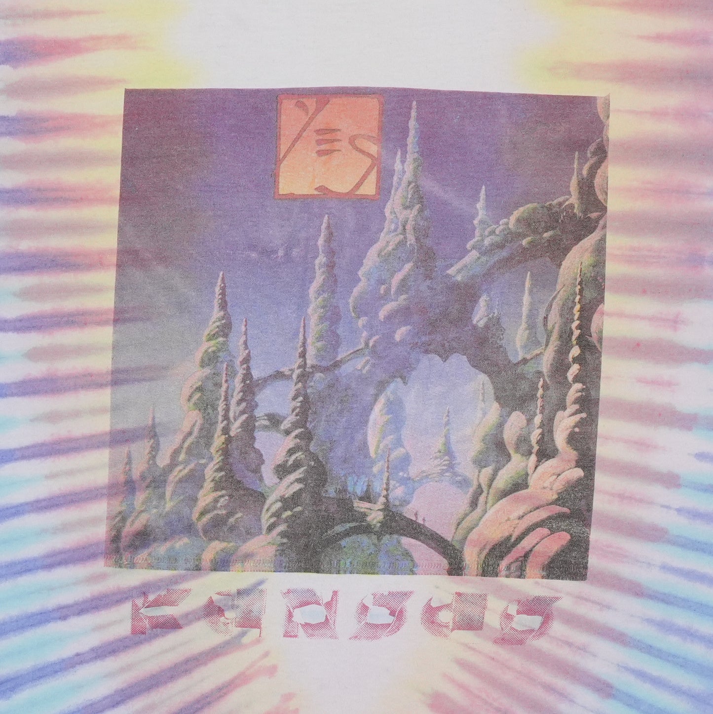 2000 Kansas North America Tour Tie Dye Shirt