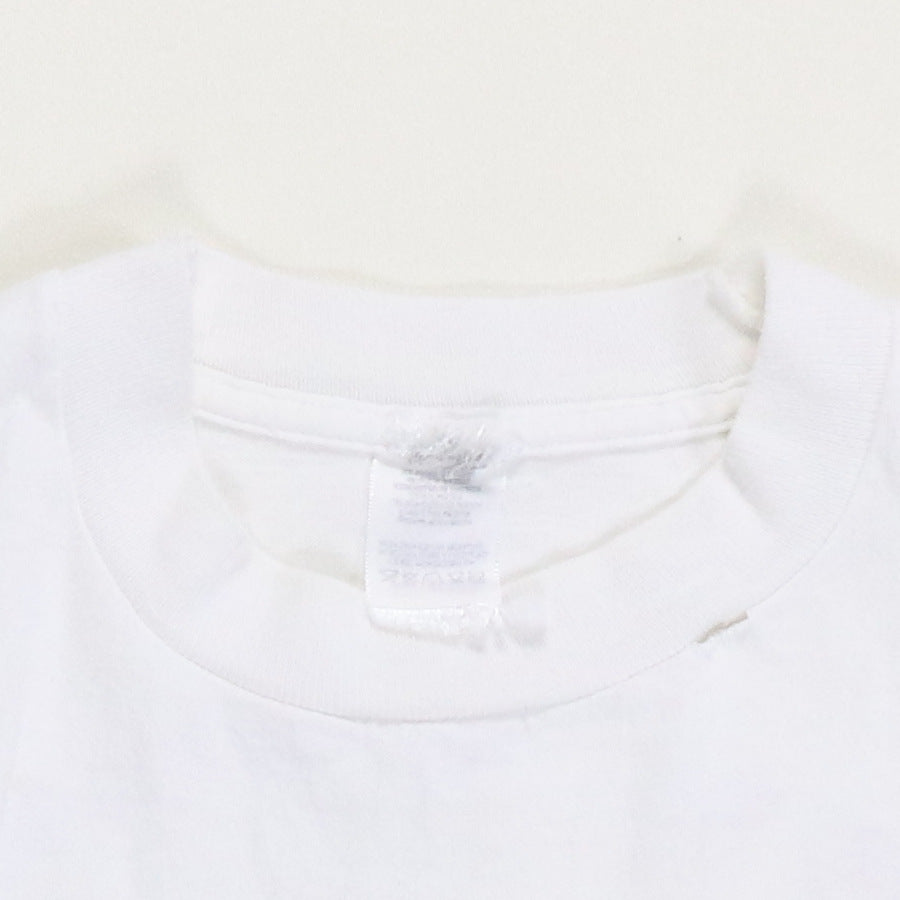 1995 Jimmy Buffett Summer Session Tour Shirt