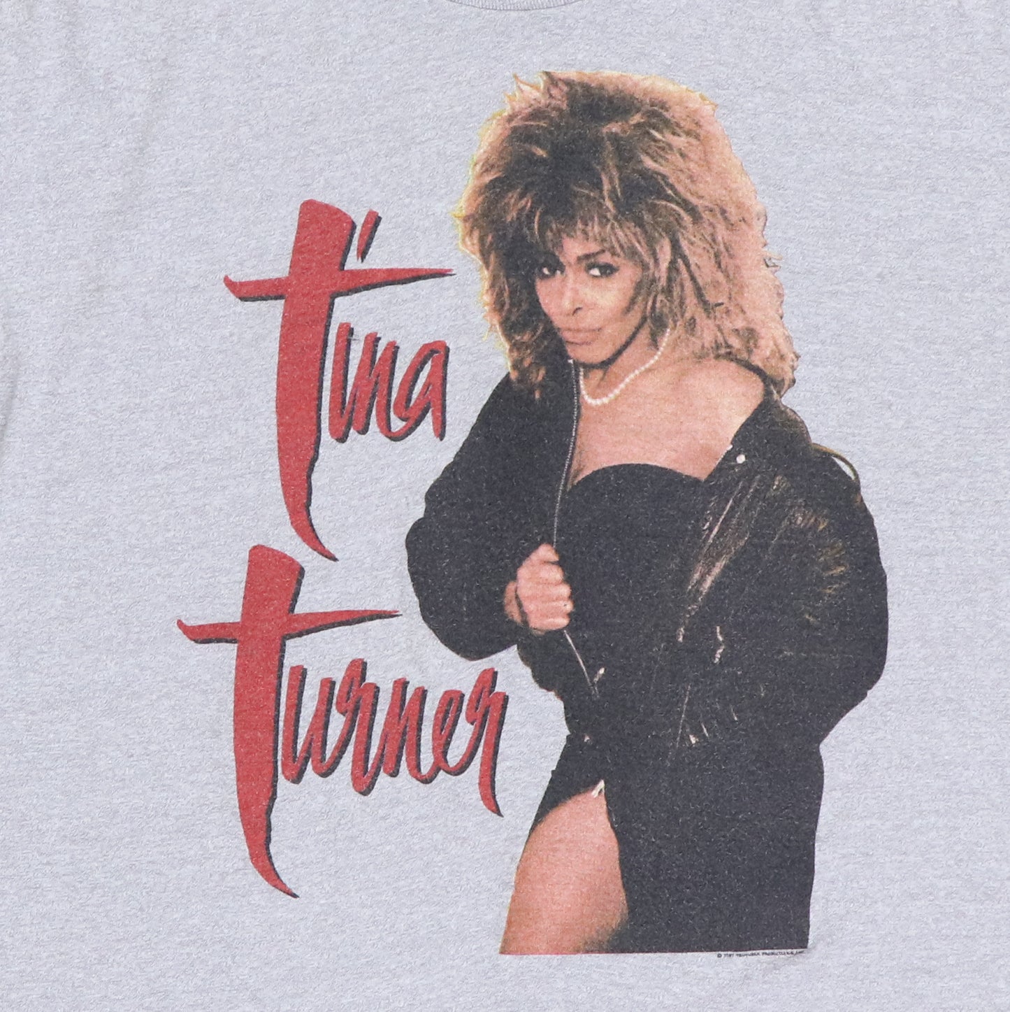 1987 Tina Turner Break Every Rule Tour Shirt