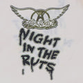 1979 Aerosmith Right In The Nuts Jersey Shirt