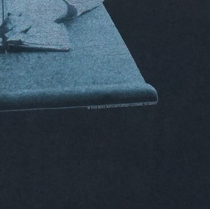 1995 Soul Asylum Dunce Shirt