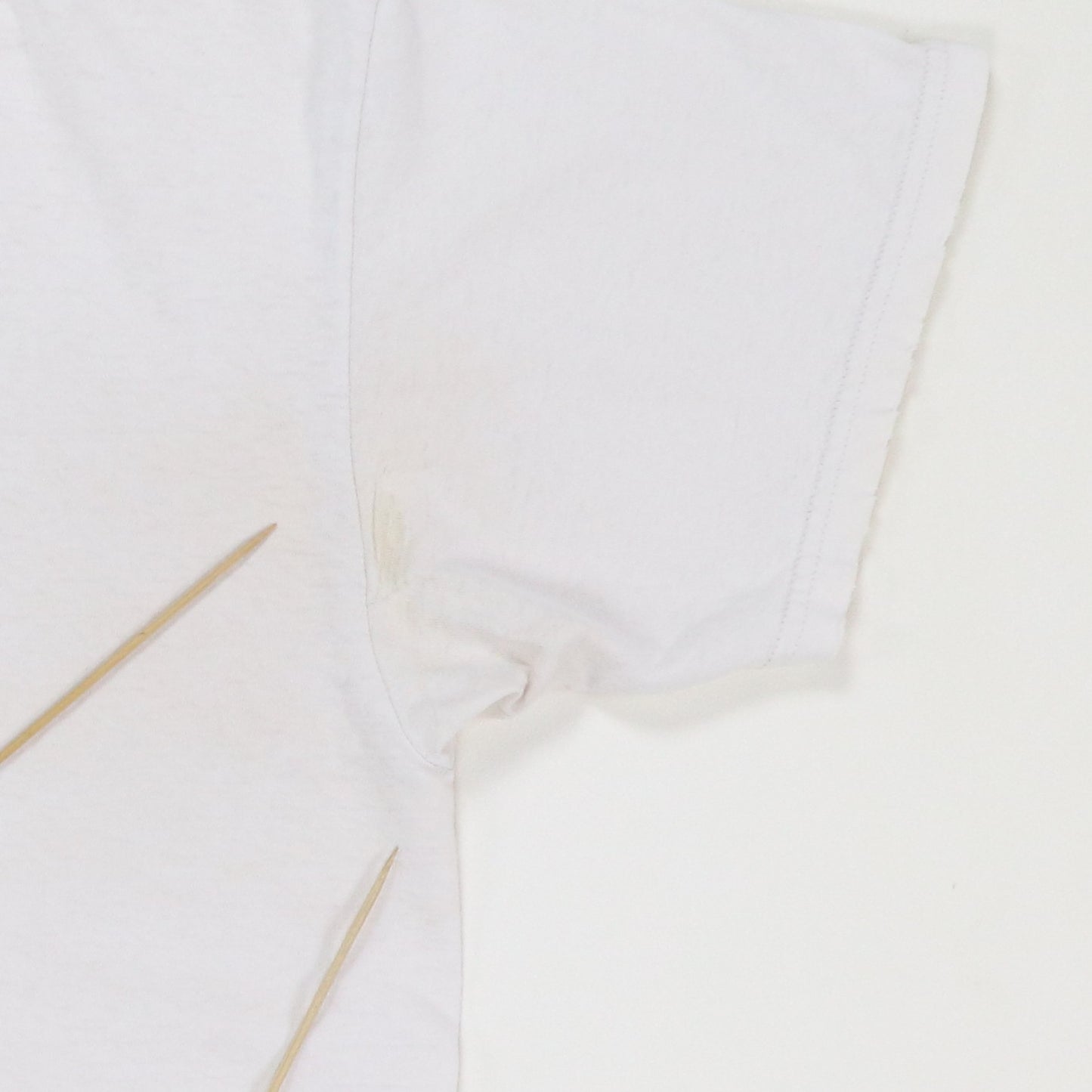 1990s Butthole Surfers Rembrandt Pussyhorse Shirt