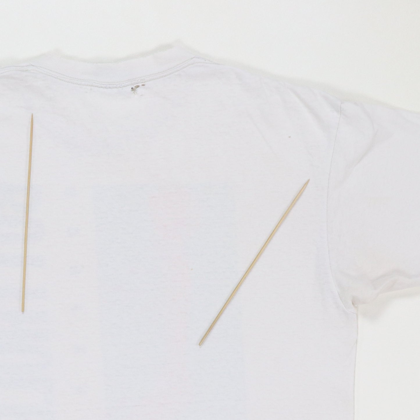 1990s Butthole Surfers Rembrandt Pussyhorse Shirt