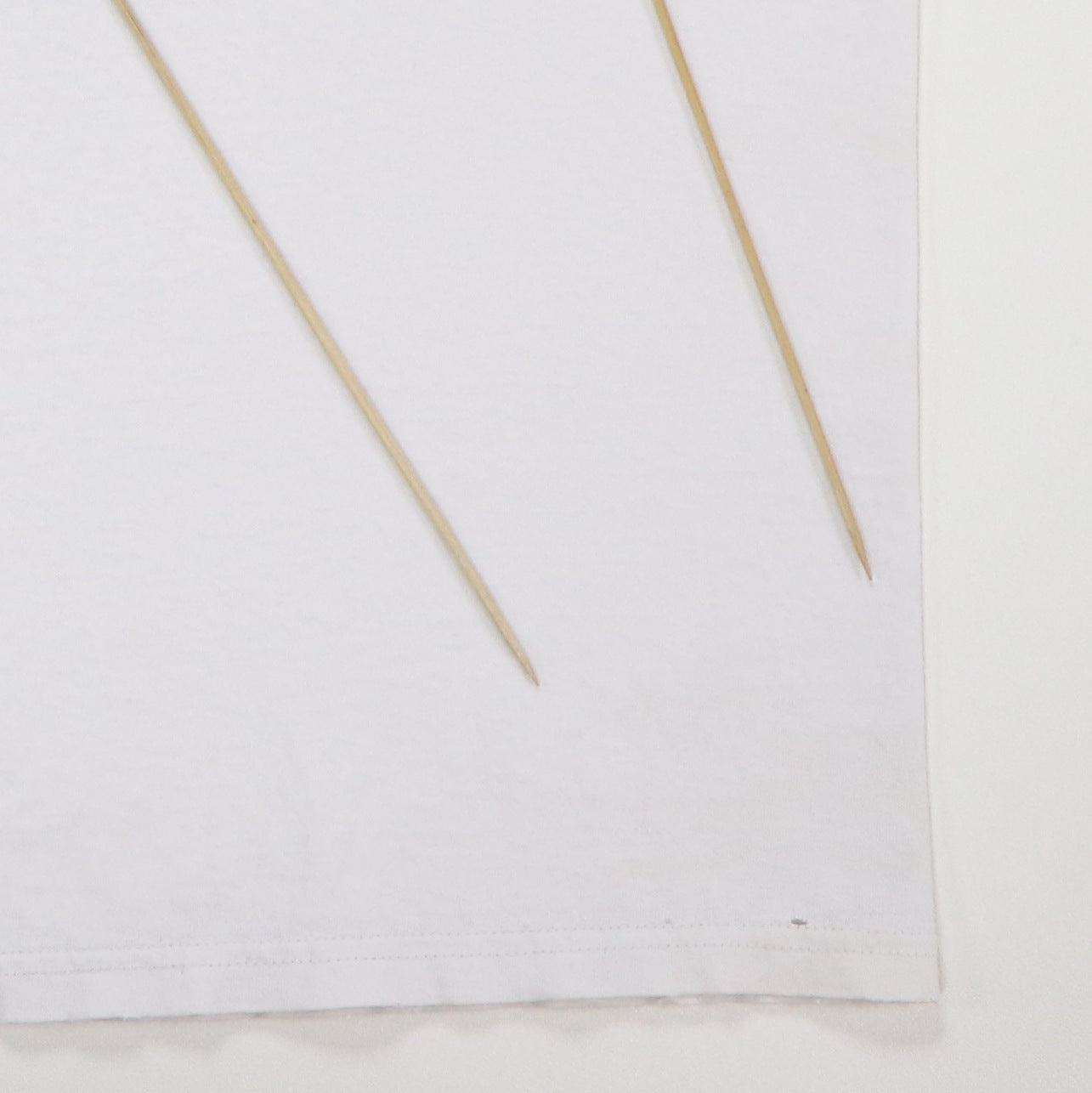 1990s Butthole Surfers Rembrandt Pussyhorse Shirt