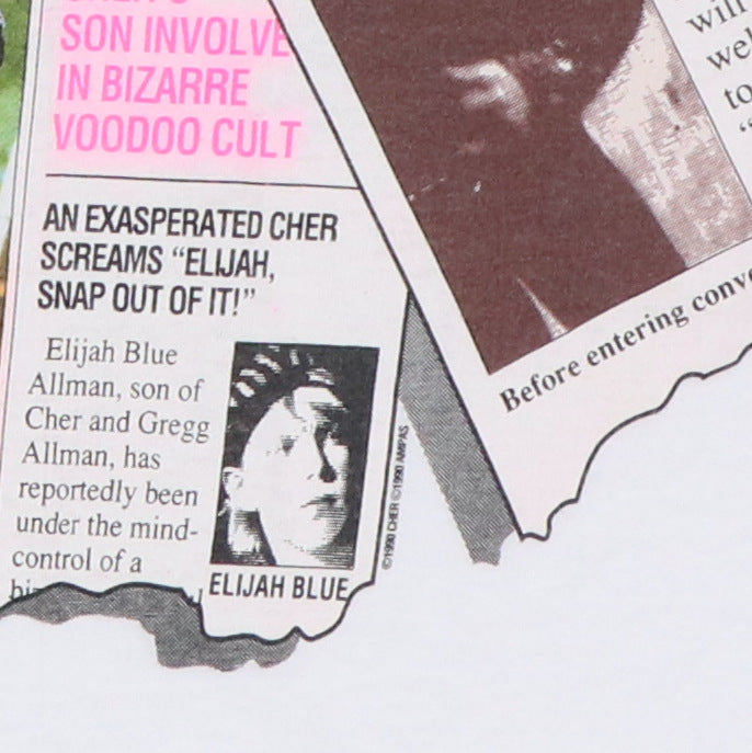 1990 Cher Irrational Enquirer Shirt