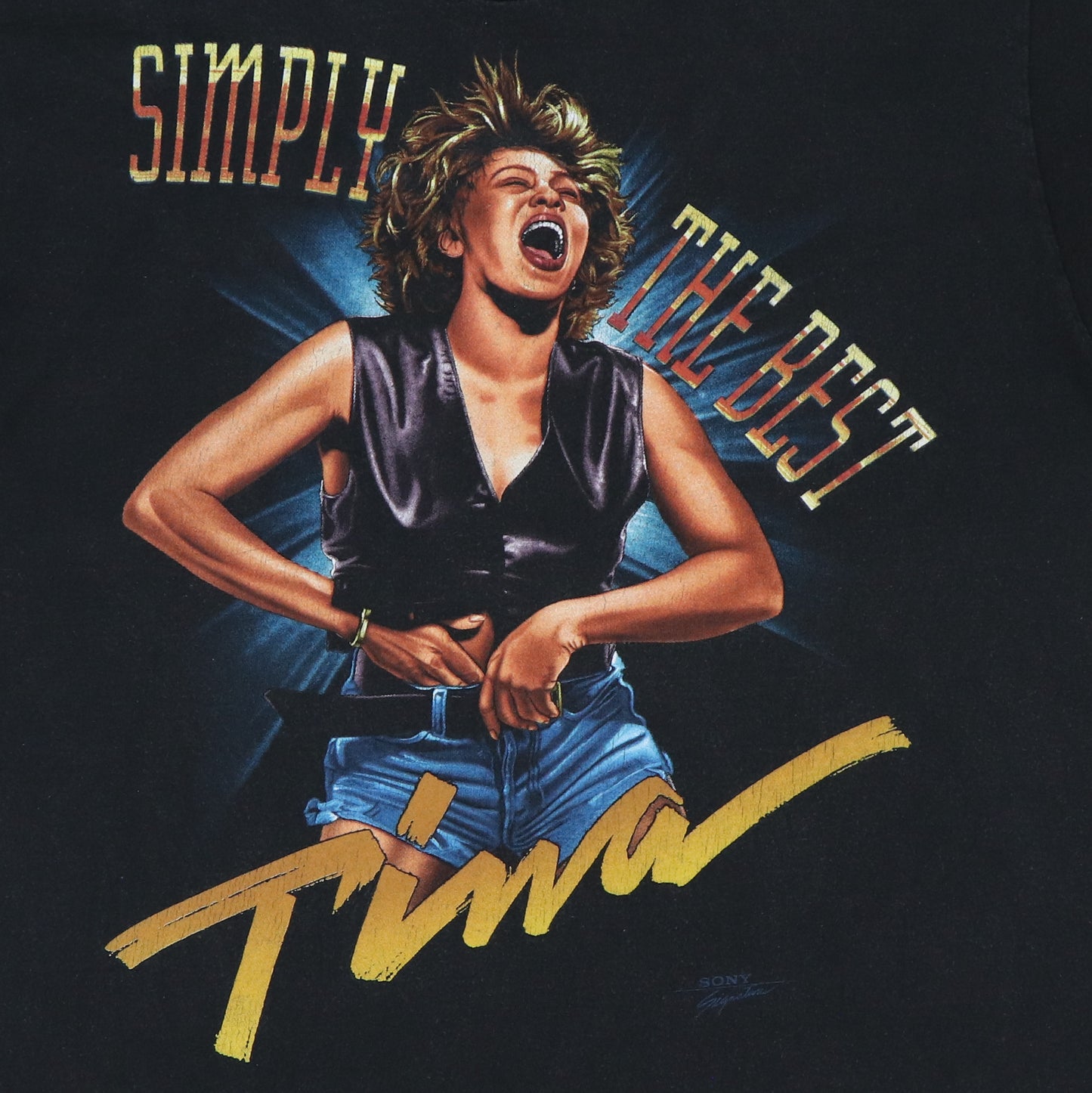 1989 Tina Turner Simply The Best Shirt