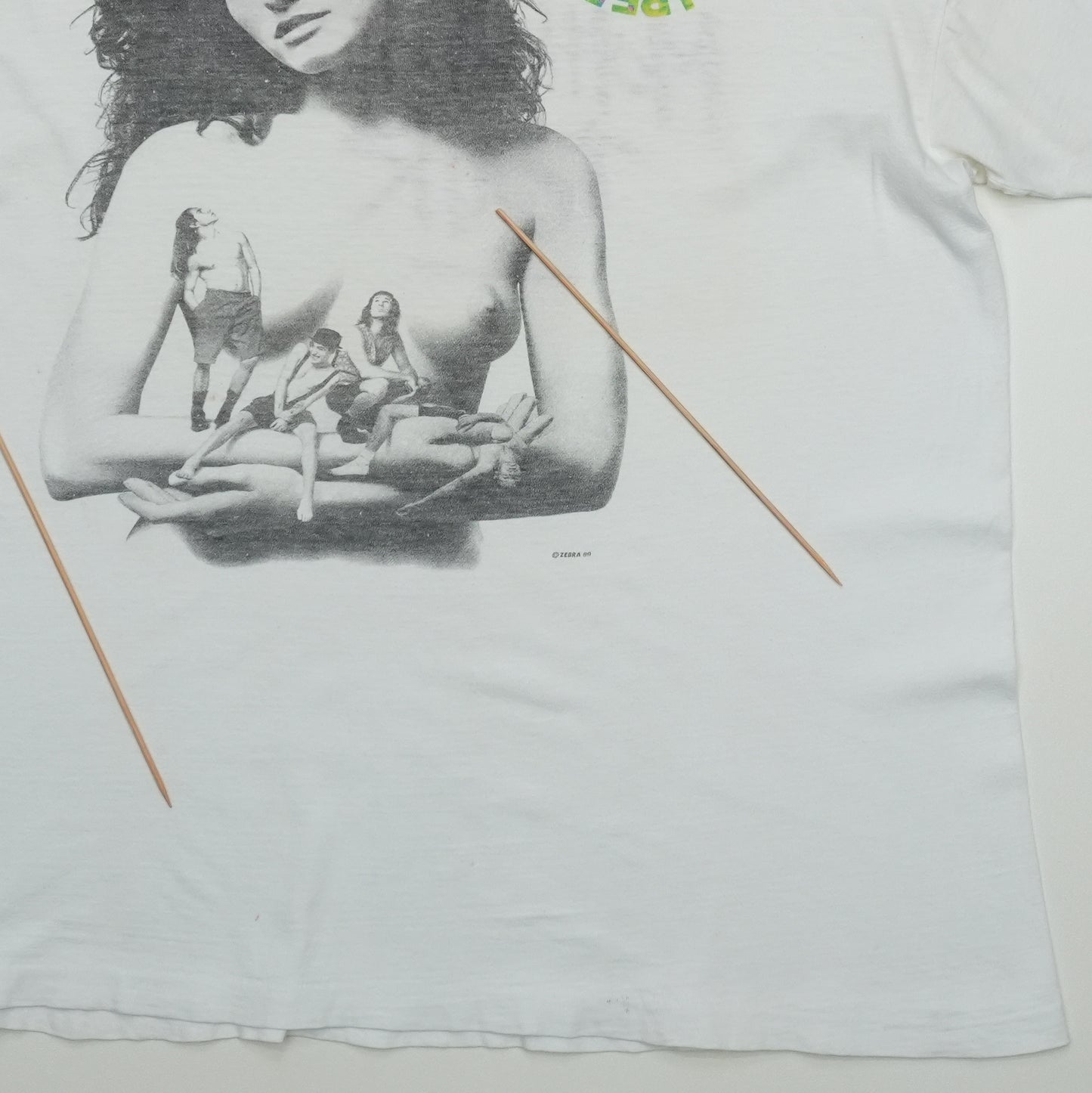 1990 Red Hot Chili Peppers Mother Earth Tour Shirt Front Detail 2