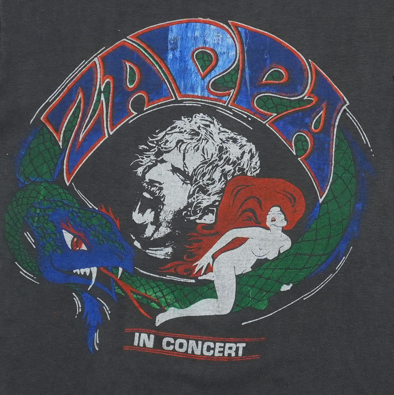 1980s Frank Zappa In Concert Shirt Detail 1