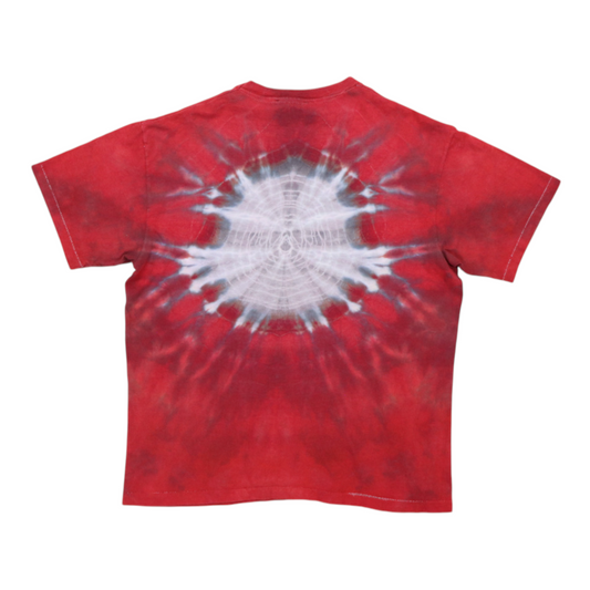 1980s Wasp Symmetria Tie Dye Shirt Back