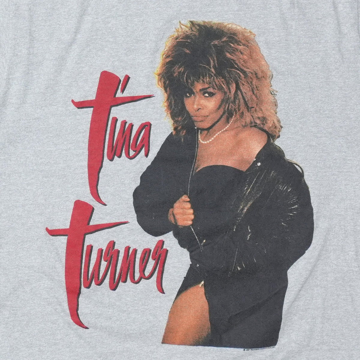 1980s Tina Turner Break Every Rule World Tour Shirt