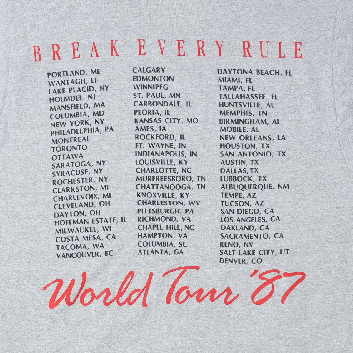 1980s Tina Turner Break Every Rule World Tour Shirt