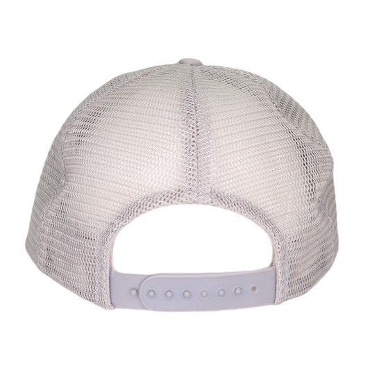 1980s 20 Years Of Led Zeppelin Truck Hat Back