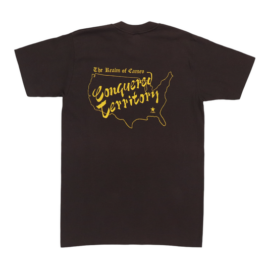 1981 Cameo Knights Of The Sound Table Shirt Back