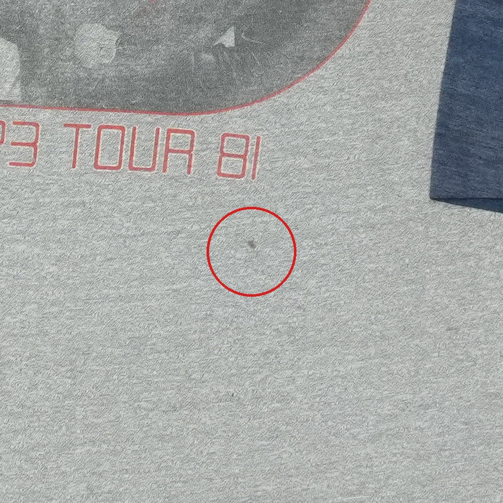 1981 Journey Escape Tour Jersey