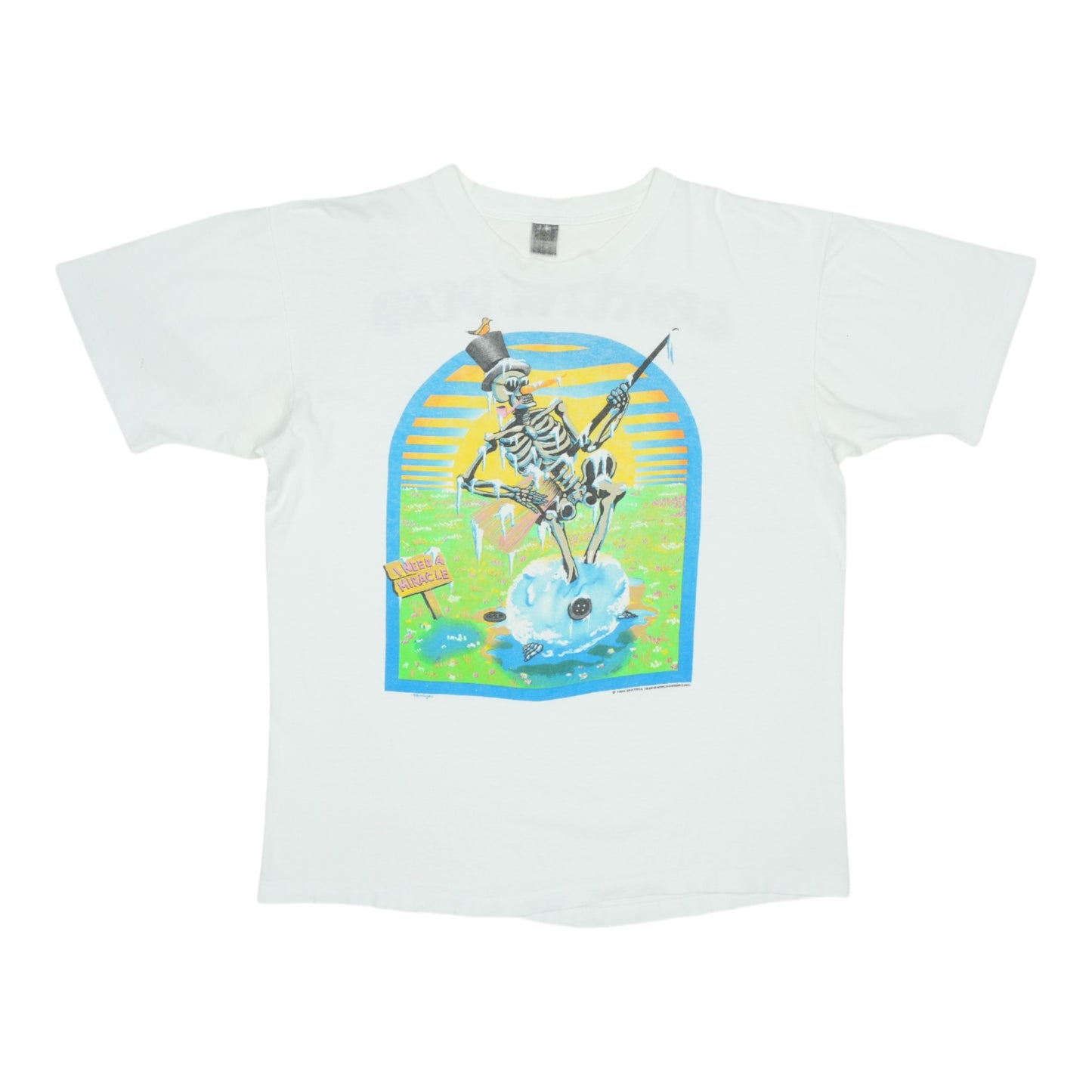 1989 Grateful Dead Spring Tour Shirt