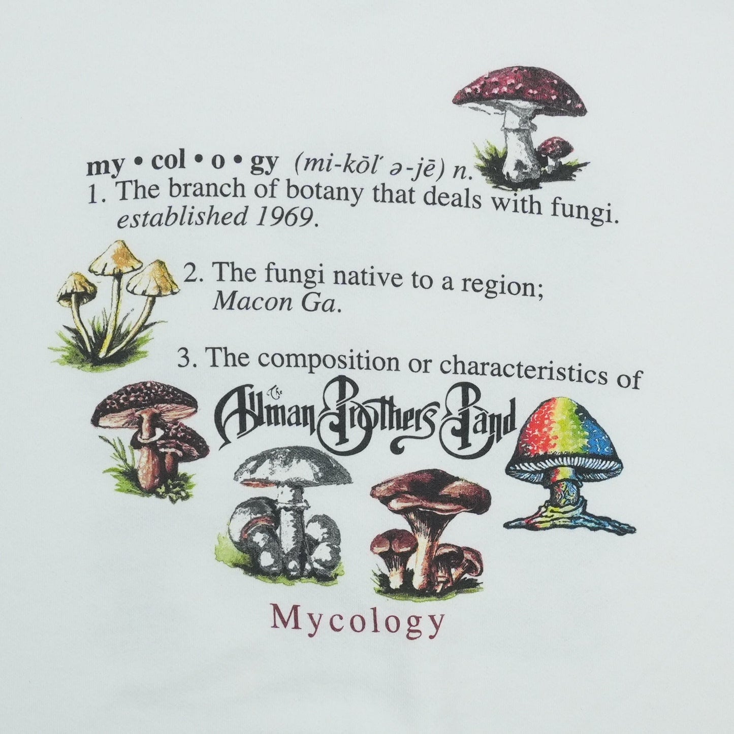 1990s Allman Brothers Band Mycology Shirt Detail 3