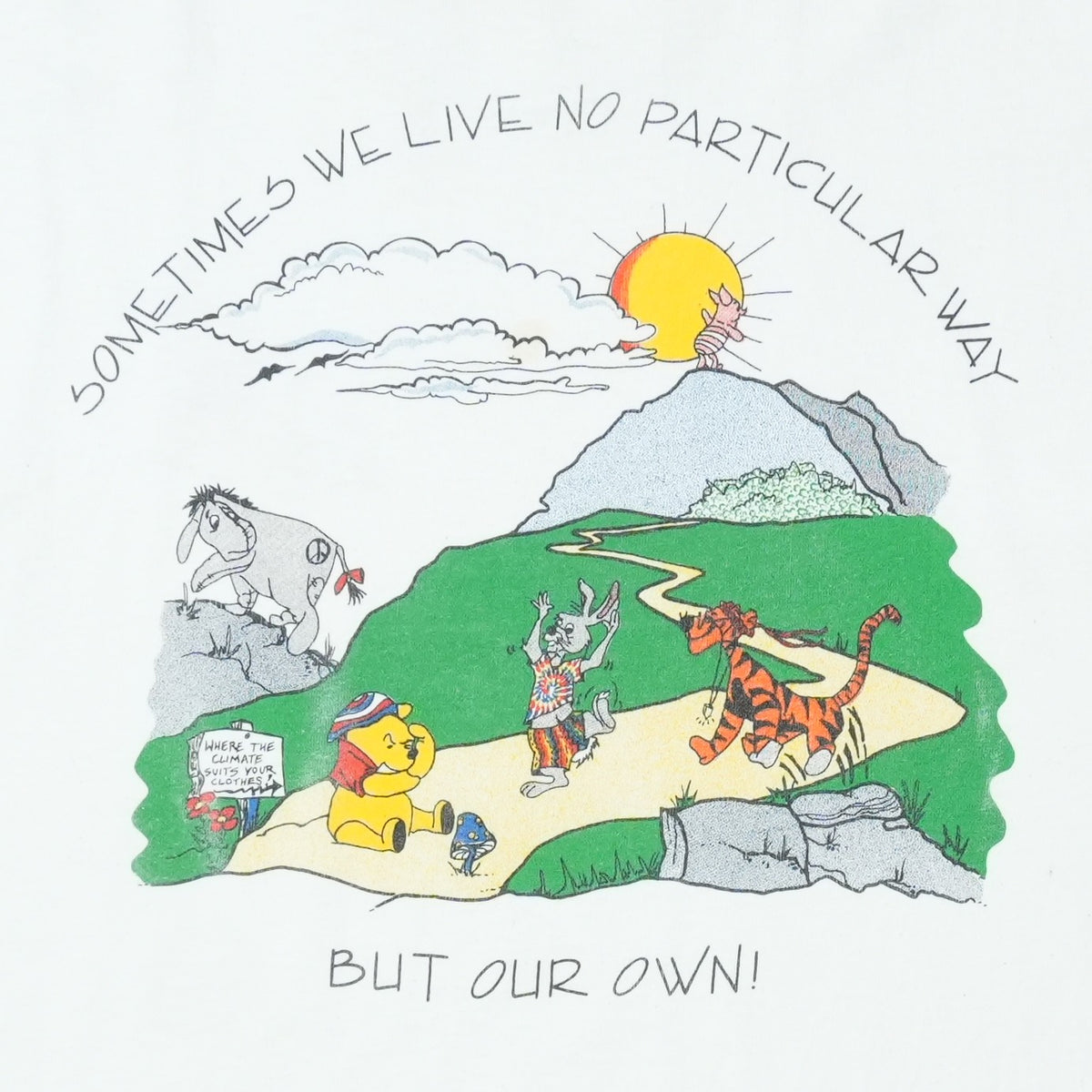 1990s Grateful Dead Winnie the Pooh Shirt