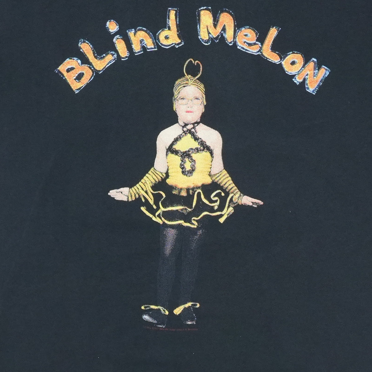 1992 Blind Melon Crammed In A Van Tour Shirt