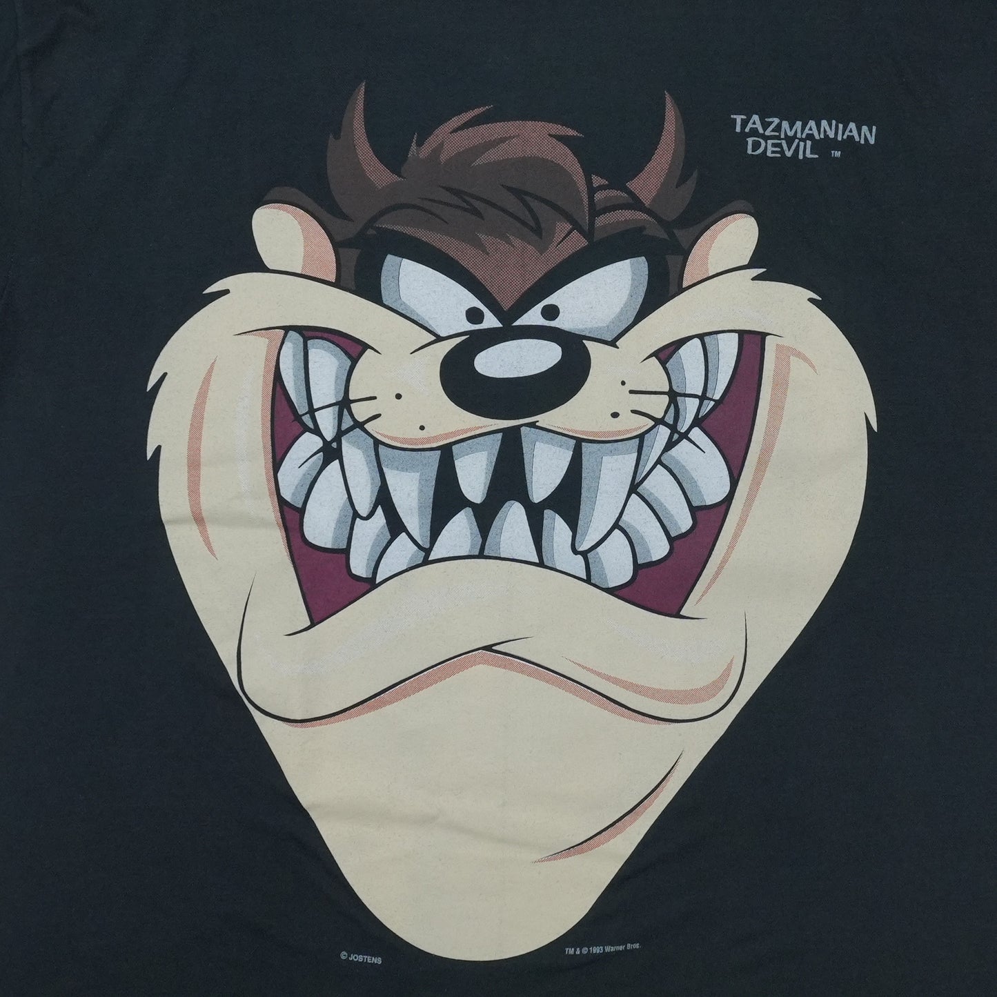 1993 Tazmanian Devil Shirt
