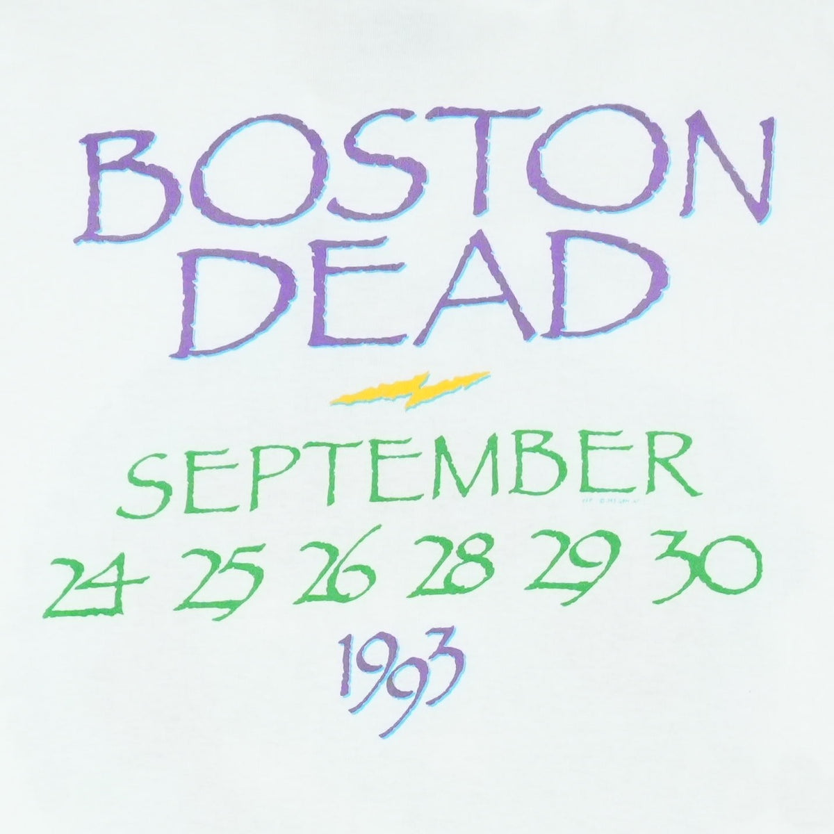 1993 Grateful Dead Boston Garden Shirt