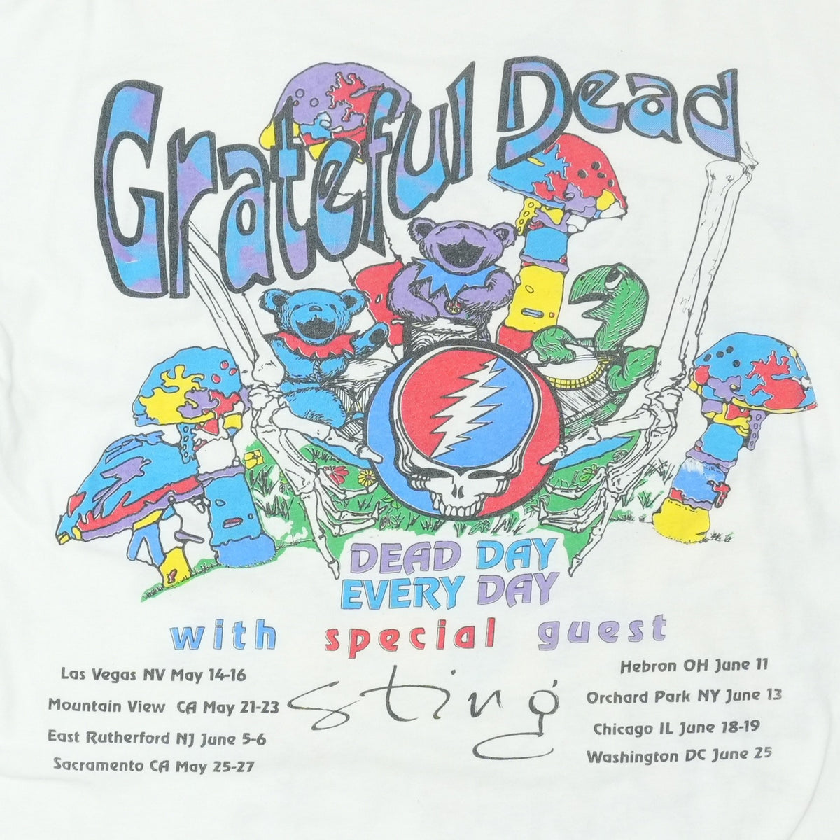 1993 Grateful Dead Summer Tour Shirt