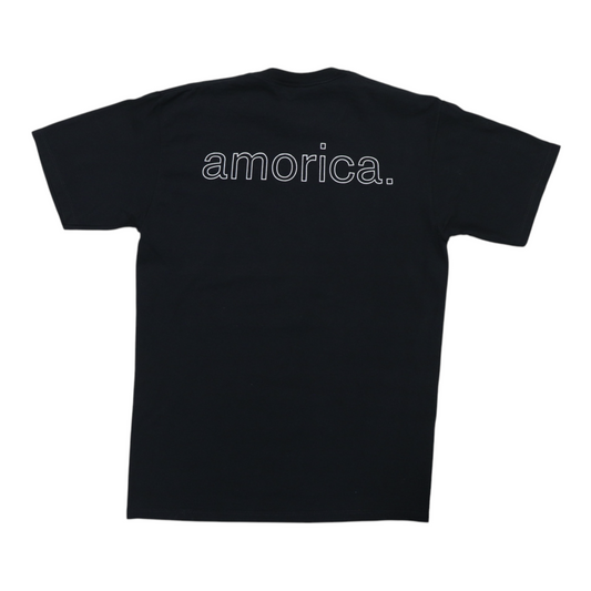 1994 Black Crowes Amorica Shirt Back