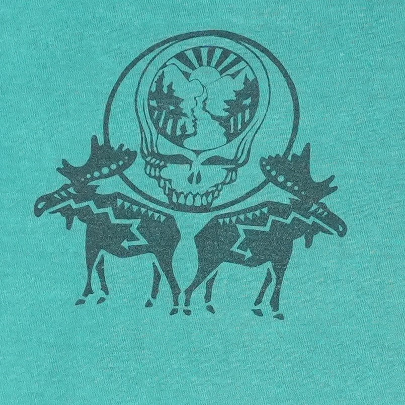 1994 Grateful Dead Northeast Tour Vermont Shirt