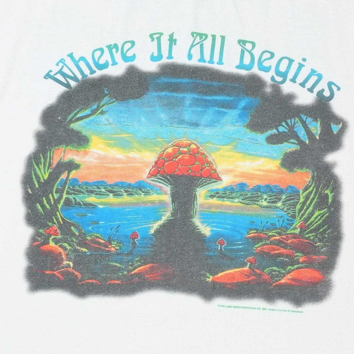 1994 The Allman Brothers Band Where It All Begins Tour Shirt