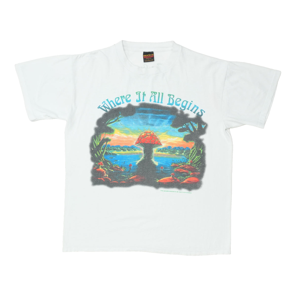 1994 The Allman Brothers Band Where It All Begins Tour Shirt