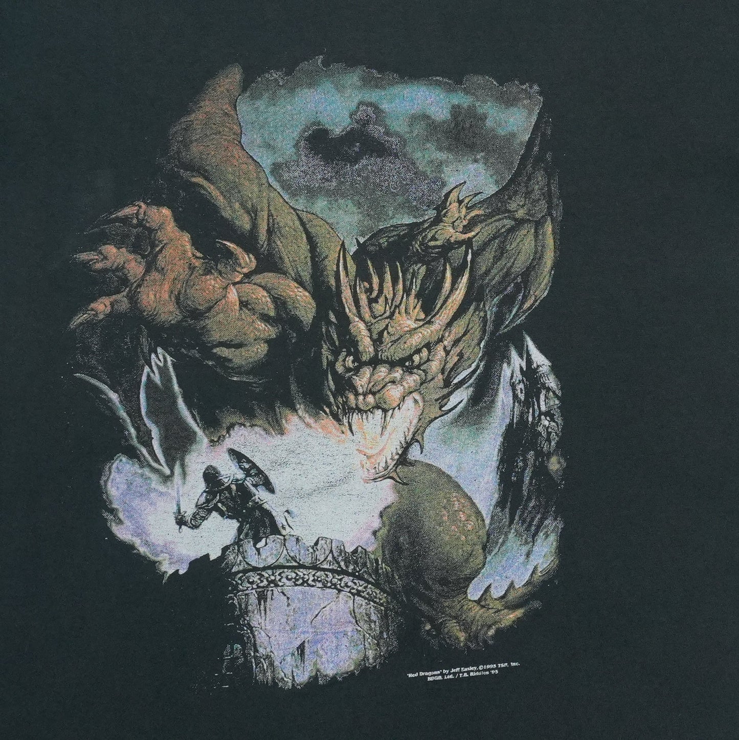 1995 Red Dragons TSR Shirt Detail 2