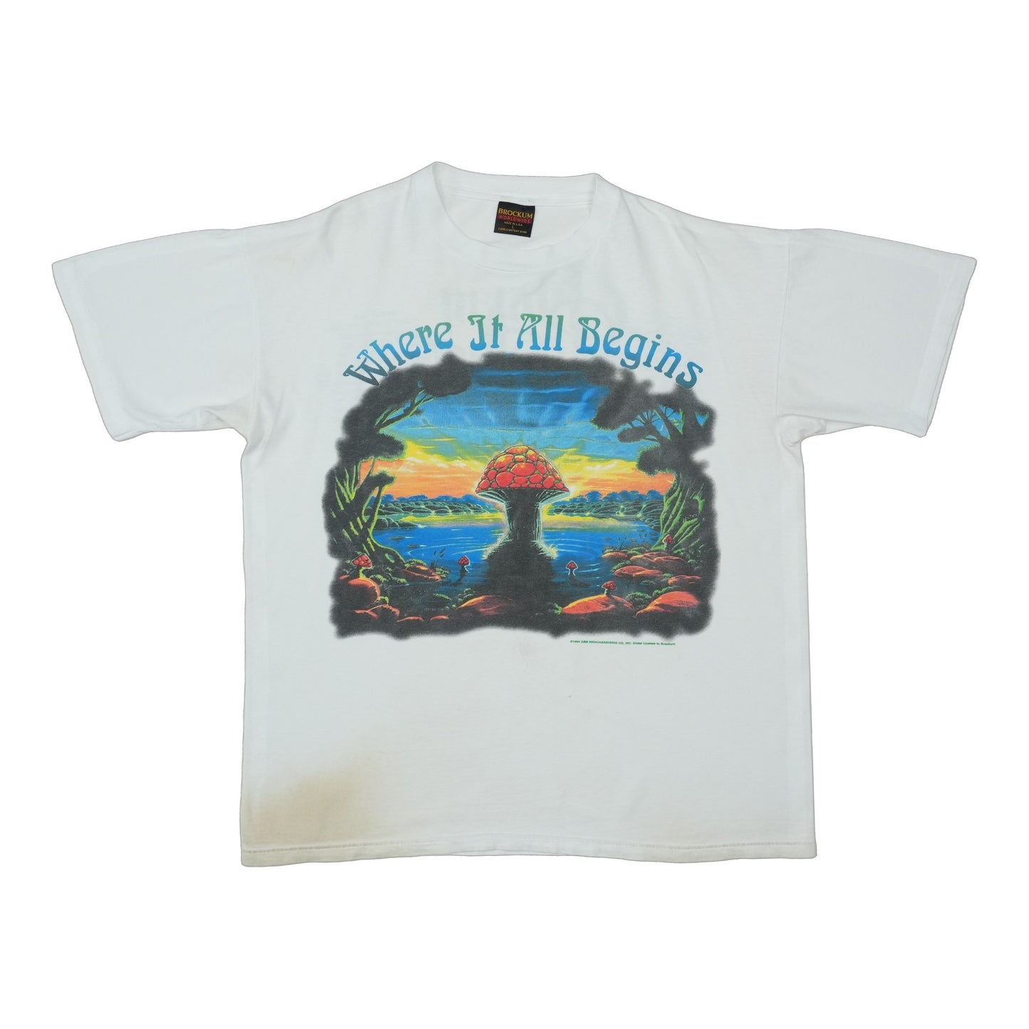 1994 Allman Brothers Band Where It All Begins Tour Shirt Front