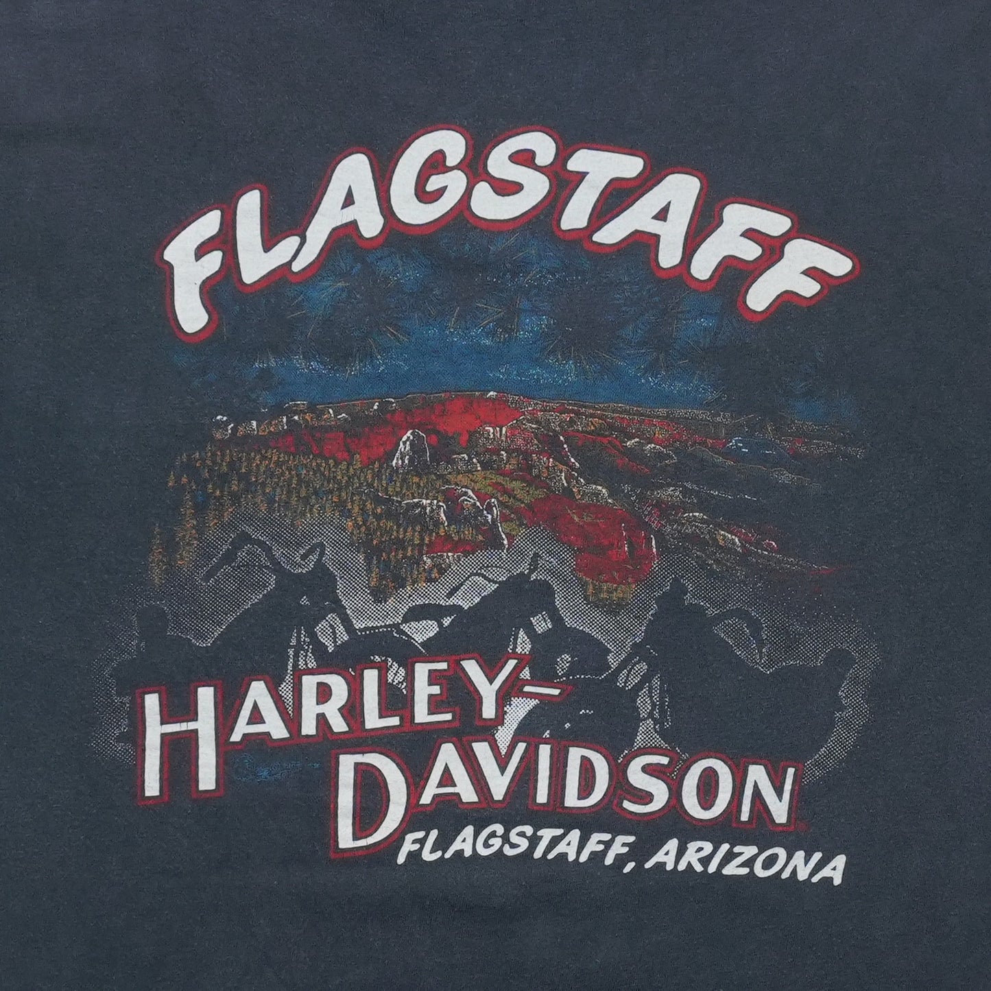 1990s Harley Davidson Tearing Up The Competition Pocket ShirtBack Graphic