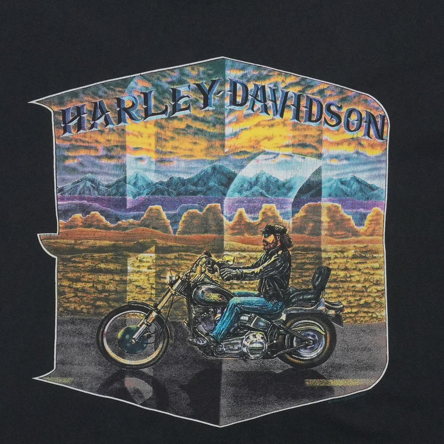 1994 Harley Davidson Rider Mountain Landscape ShirtFront Graphic