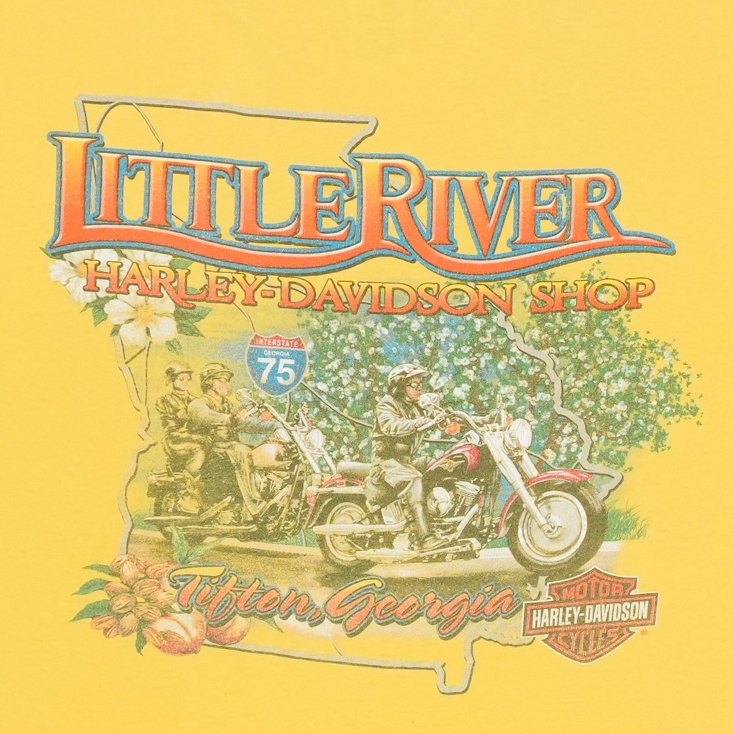 2005 Harley Davidson Georgia Shirt