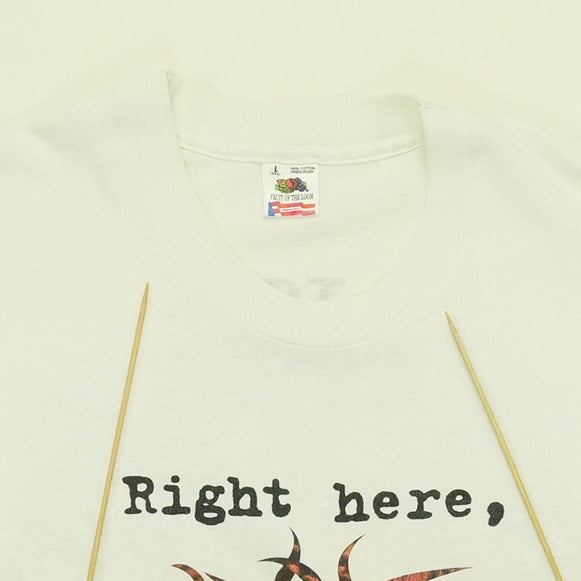 1993 Van Halen Right Here Right Now Tour Shirt