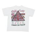 1988 Pink Floyd Momentary Lapse Or Reason Tour Shirt