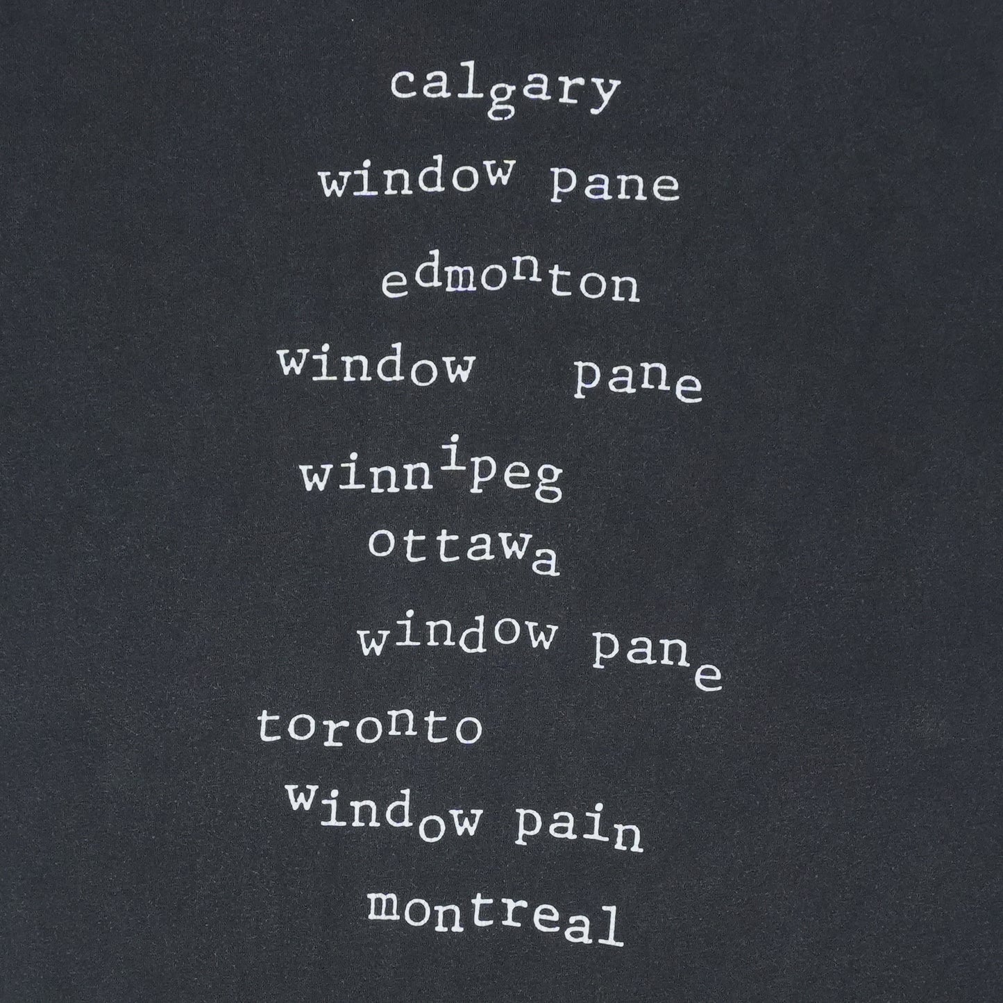 1993 Pearl Jam Window Pain Tour Shirt Detail