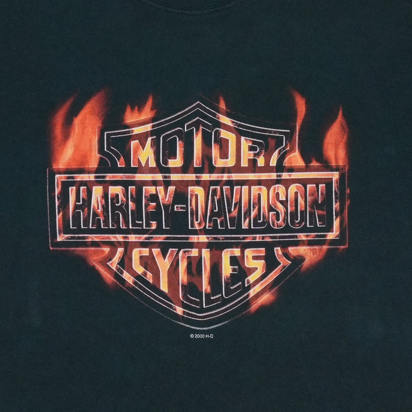 2003 Harley Davidson Flame Long Sleeve Shirt