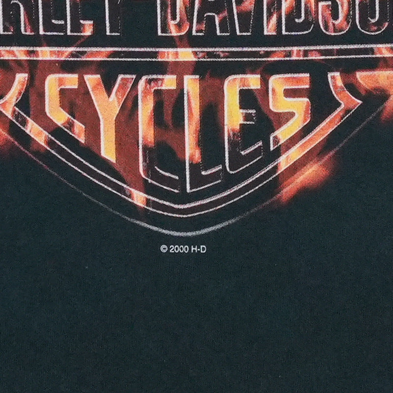 2003 Harley Davidson Flame Long Sleeve Shirt