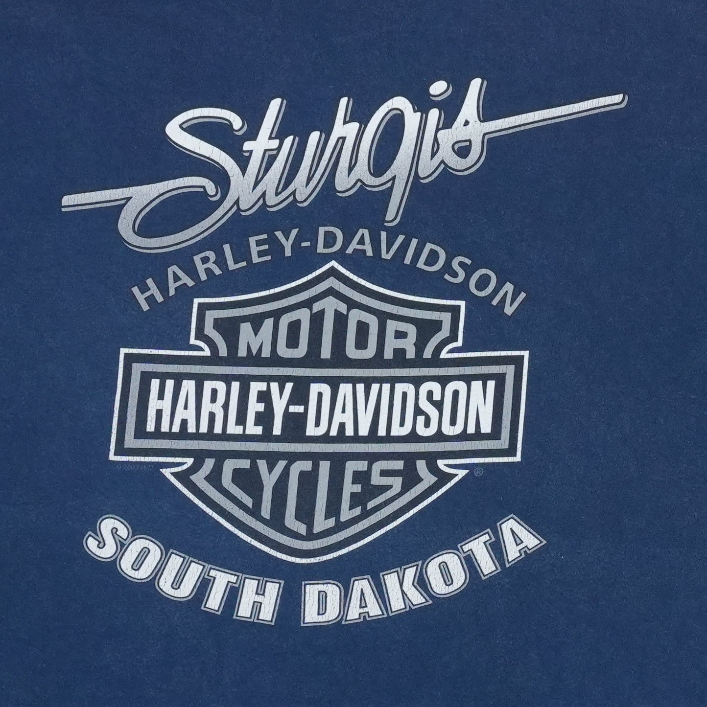 2006 Harley Davidson Sturgis Shirt